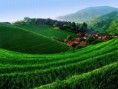 /album/galeria-de-fotos-china/a5-turismo-interior-da-china-jpg/